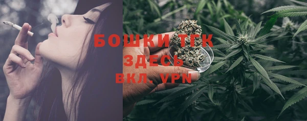 прущие крисы Абаза