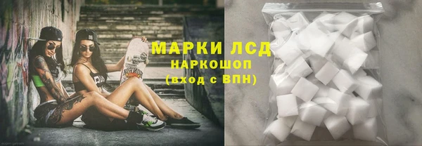 прущие грибы Дубна