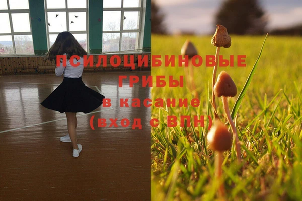 амф Абдулино