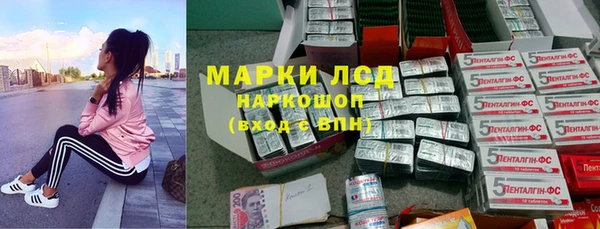 СК Абинск