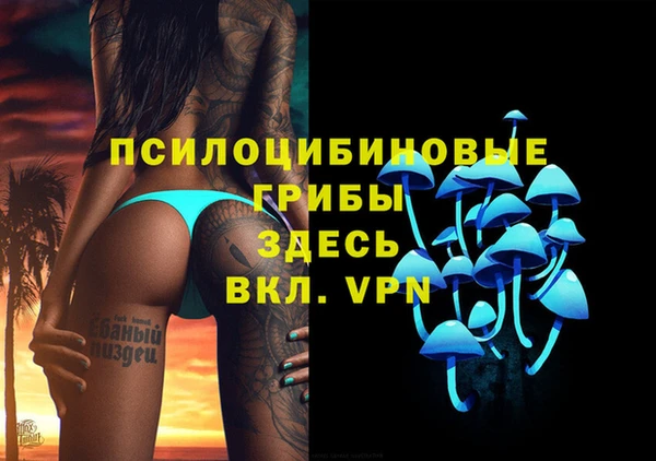 прущие крисы Абаза