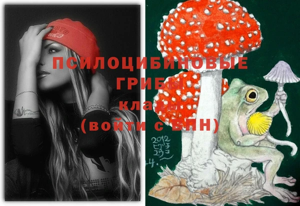 амф Абдулино