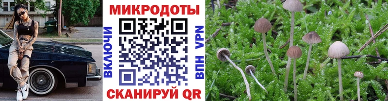 Галлюциногенные грибы Magic Shrooms где купить Алдан
